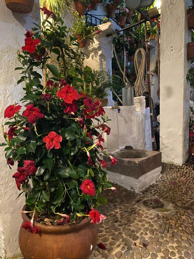 Atico Casa Lola Lejlighed Córdoba Eksteriør billede